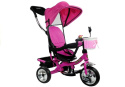 Rowerek trójkołowy dla dzieci Lean Toys PRO 300 Pink