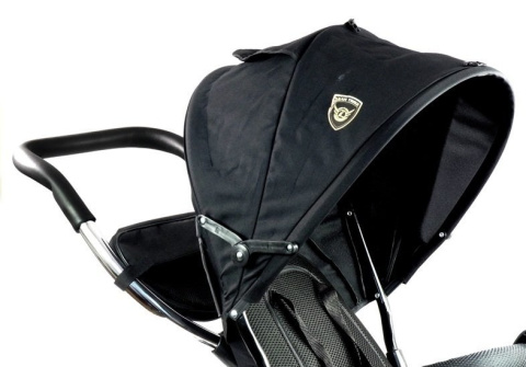 Rowerek trójkołowy Lean Toys PRO500 czarny 6m+