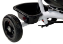 Rowerek trójkołowy Lean Toys PRO300 czarny