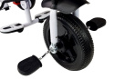 Rowerek trójkołowy Lean Toys PRO300 czarny