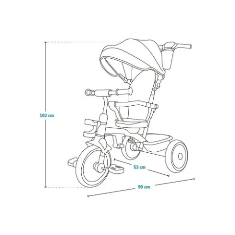 Rowerek trójkołowy wielofunkcyjny Lionelo Berry Grey Stone 9m+