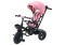 Rowerek trójkołowy Lean Toys PRO550 różowy 27251 6m+