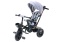 Rowerek trójkołowy Lean Toys PRO550 szary 27252 6m+
