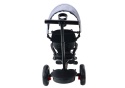 Rowerek trójkołowy Lean Toys PRO550 szary 27252 6m+