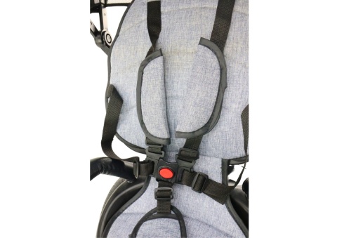 Rowerek trójkołowy Lean Toys PRO550 szary 27252 6m+ Rowerek trójkołowy Lean Toys PRO550 szary 27252 6m+
