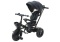 Rowerek trójkołowy Lean Toys PRO550 czarny 27253 6m+