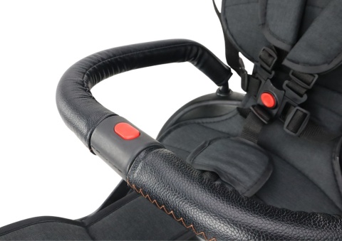 Rowerek trójkołowy Lean Toys PRO550 czarny 27253 6m+ Rowerek trójkołowy Lean Toys PRO550 czarny 27253 6m+