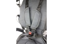 Rowerek trójkołowy Lean Toys PRO550 czarny 27253 6m+